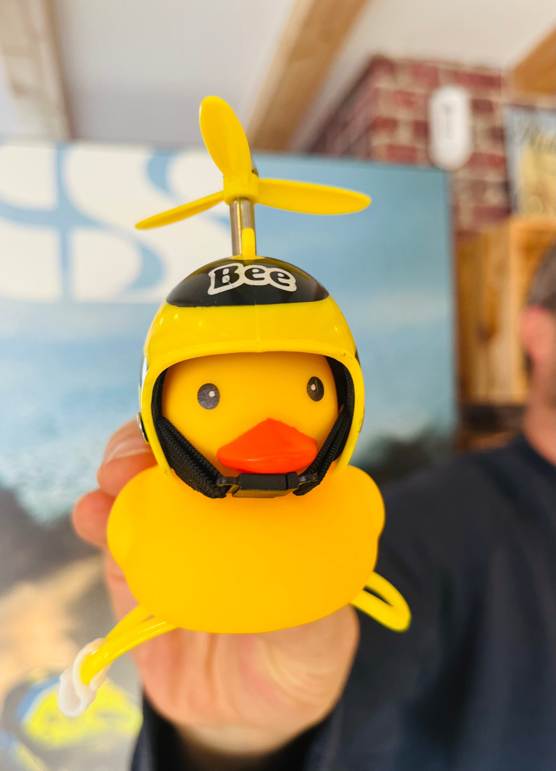 Sonnette Canard – Image 5